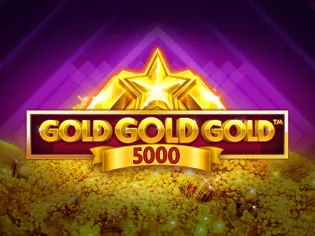 Gold Gold Gold 5000 screenshot